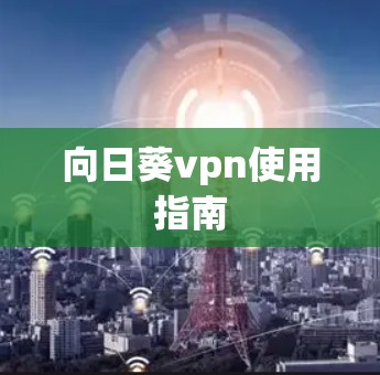 向日葵vpn使用指南 向日葵vpn使用指南