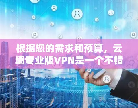 根据您的需求和预算，云墙专业版VPN是一个不错的选择，但建议您根据具体情况进行评估