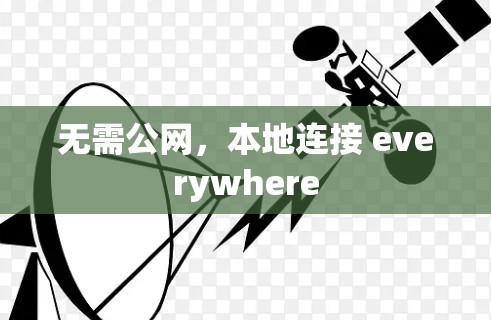 无需公网，本地连接 everywhere