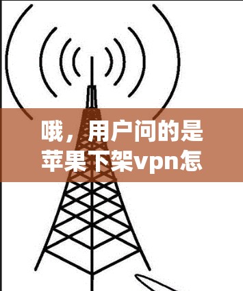 哦，用户问的是苹果下架vpn怎么上ins。看起来用户遇到了一个关于在苹果设备上使用VPN的困扰。这是一个常见的问题，尤其是在苹果设备上使用VPN时，因为苹果的限制和安装流程可能与第三方应用有所不同