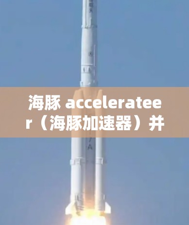 海豚 accelerateer（海豚加速器）并不是一种VPN（Virtual Private Network，虚拟网络）这两个概念是不同的，尽管它们都与网络连接相关，但它们的本质和应用场景不同
