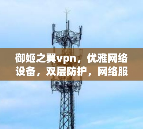 御姬之翼vpn，优雅网络设备，双层防护，网络服务升级