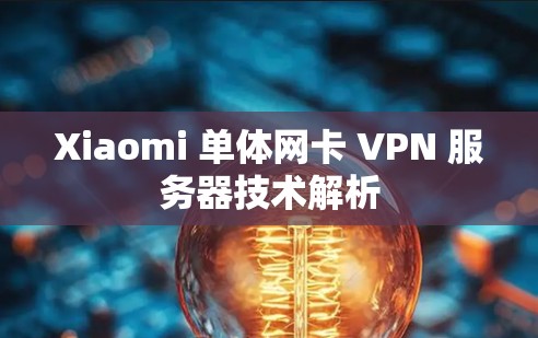 Xiaomi 单体网卡 VPN 服务器技术解析