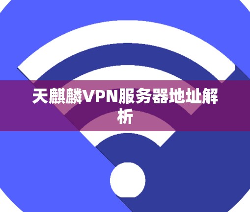 天麒麟VPN服务器地址解析