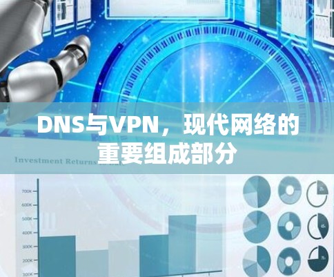 DNS与VPN,现代网络的重要组成部分 DNS与VPN,现代网络的重要组成部分