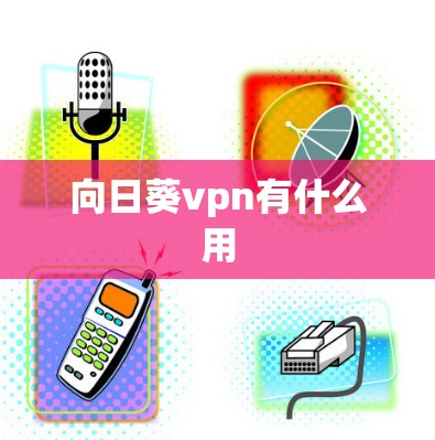 向日葵vpn有什么用 向日葵vpn有什么用