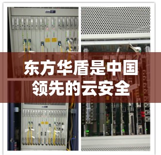 东方华盾是中国领先的云安全和云管理企业，其远程管理 VPN 网关服务主要集中在云安全和数据VPN领域。以下是对东方华盾远程管理 VPN 网关的详细介绍