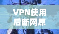 VPN使用后断网原因及解决方法