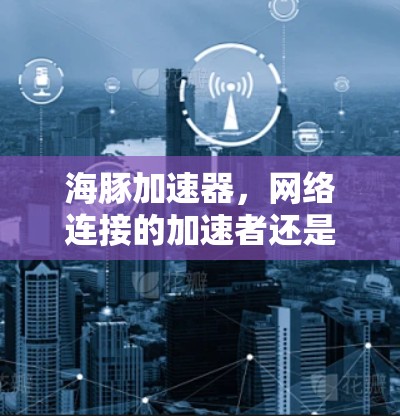 海豚加速器，网络连接的加速者还是加密器？