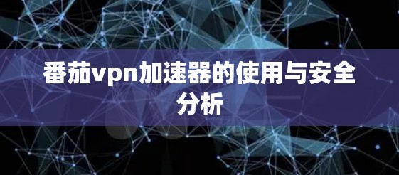 番茄vpn加速器的使用与安全分析 番茄vpn加速器的使用与安全分析