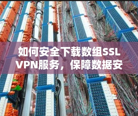 如何安全下载数组SSLVPN服务，保障数据安全的可靠之路