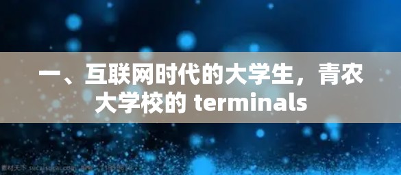 一、互联网时代的大学生，青农大学校的 terminals