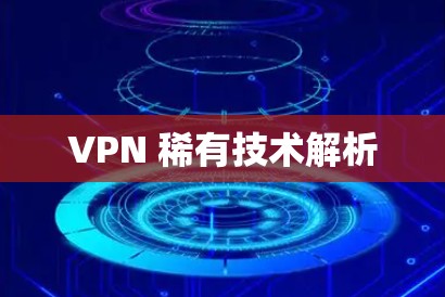 VPN 稀有技术解析
