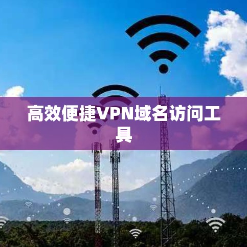 高效便捷VPN域名访问工具