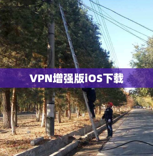 VPN增强版iOS下载 VPN增强版iOS下载