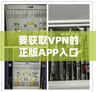 要获取VPN的正版APP入口，建议以下步骤