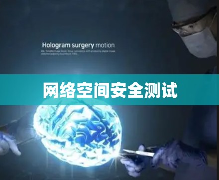 网络空间安全测试