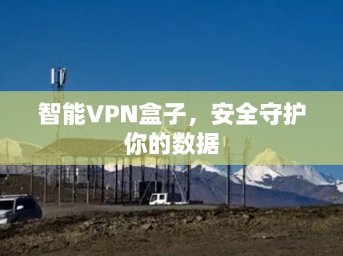 智能VPN盒子，安全守护你的数据