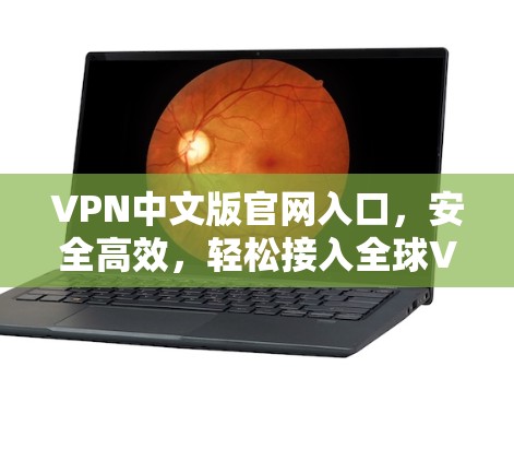 VPN中文版官网入口，安全高效，轻松接入全球VPN服务