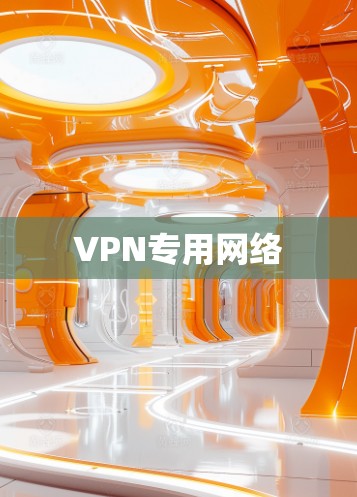 VPN专用网络