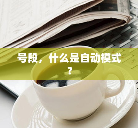 号段，什么是自动模式？