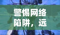 警惕网络陷阱，远离不安全VPN