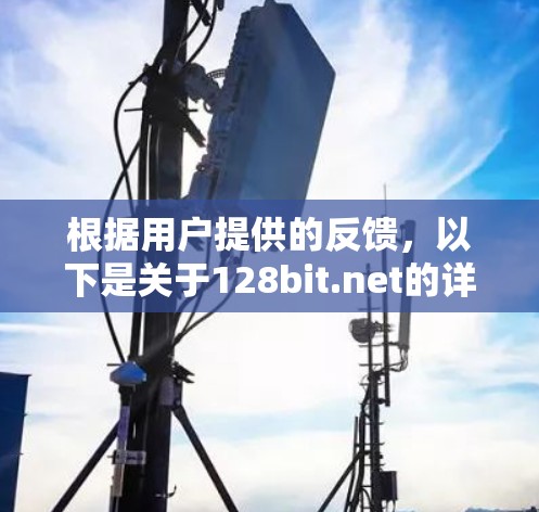 根据用户提供的反馈，以下是关于128bit.net的详细分析和解决方案