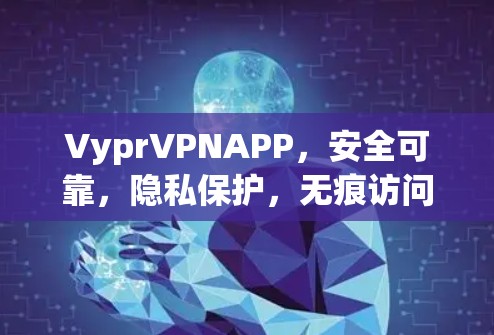 VyprVPNAPP，安全可靠，隐私保护，无痕访问，值得下载！
