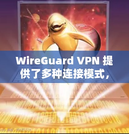 WireGuard VPN 提供了多种连接模式，包括端口连接、线缆连接和网络连接，这些模式下的高速连接体验令人满意。以下是对其高速连接体验的详细评价