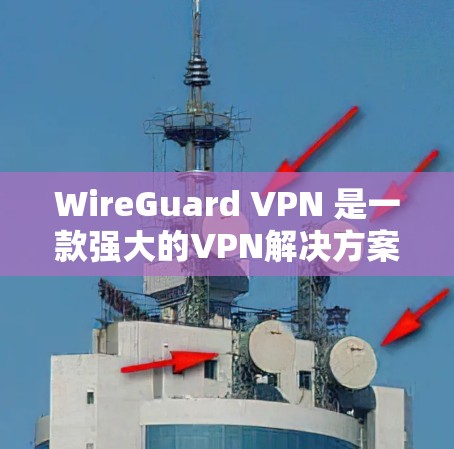 WireGuard VPN 是一款强大的VPN解决方案，支持多个设备和家庭用户。以下是配置 WireGuard VPN账号的基本步骤和使用说明