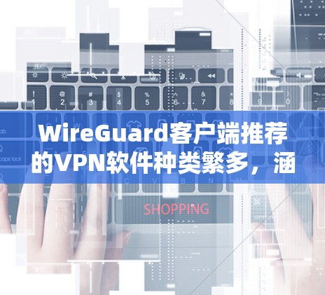 WireGuard客户端推荐的VPN软件种类繁多，涵盖了多种安全性和功能性的选项。以下是一些推荐的VPN软件，并对它们进行简要评价