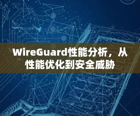 WireGuard性能分析，从性能优化到安全威胁