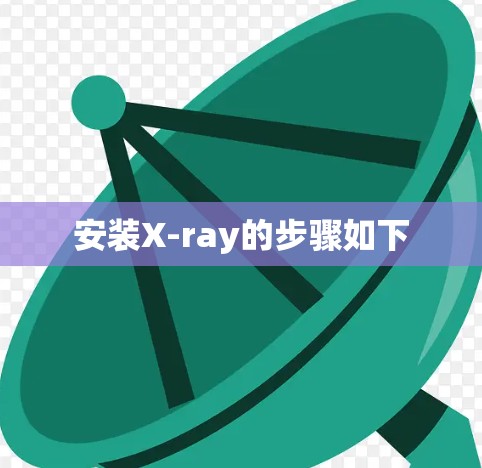 安装X-ray的步骤如下