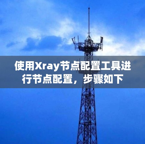 使用Xray节点配置工具进行节点配置，步骤如下