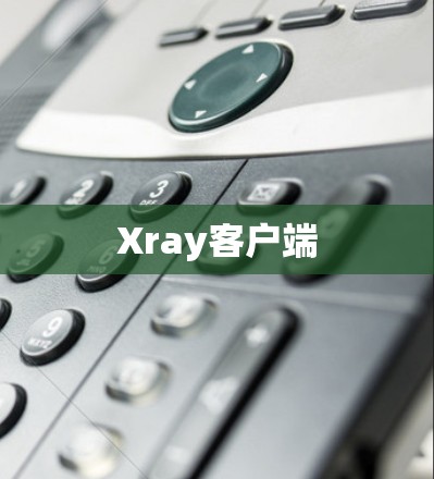 Xray客户端