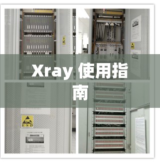 Xray 使用指南