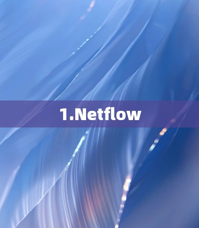 1.Netflow