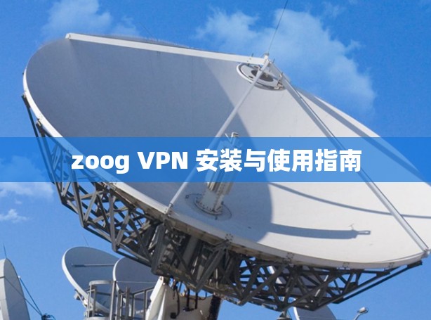 zoog VPN 安装与使用指南