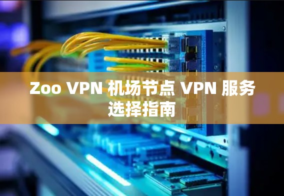 Zoo VPN 机场节点 VPN 服务选择指南
