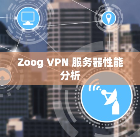 Zoog VPN 服务器性能分析