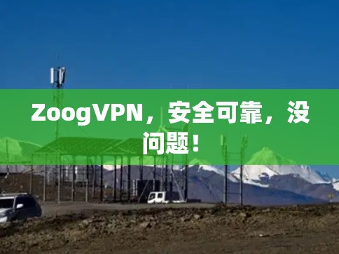 ZoogVPN，安全可靠，没问题！