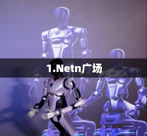 1.Netn广场