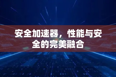 安全加速器，性能与安全的完美融合