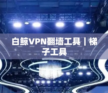 白鲸VPN翻墙工具｜梯子工具