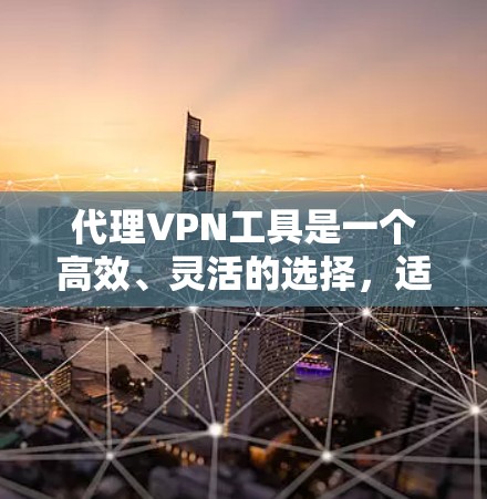 代理VPN工具是一个高效、灵活的选择，适合需要匿名访问、多设备和多语言使用用户。以下是对代理VPN工具的详细总结