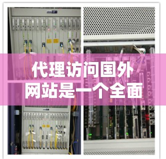 代理访问国外网站是一个全面的技术和合规过程，涉及选择合适的网站、了解代理访问的方法、处理和分析数据、报告数据以及遵守法律和隐私保护规定。以下是一个逐步指南，帮助您顺利完成代理访问