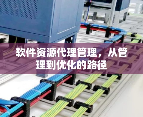 软件资源代理管理，从管理到优化的路径