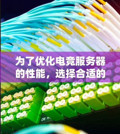 为了优化电竞服务器的性能，选择合适的加速软件至关重要。以下是一些推荐的工具，帮助你提升服务器流畅度