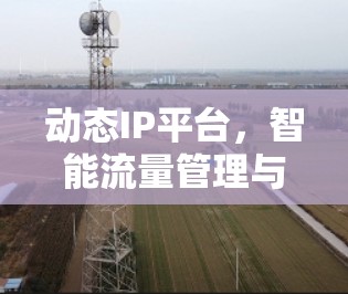 动态IP平台，智能流量管理与网络优化