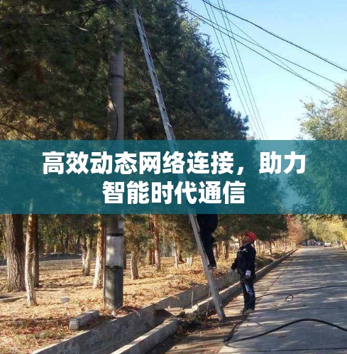 高效动态网络连接，助力智能时代通信